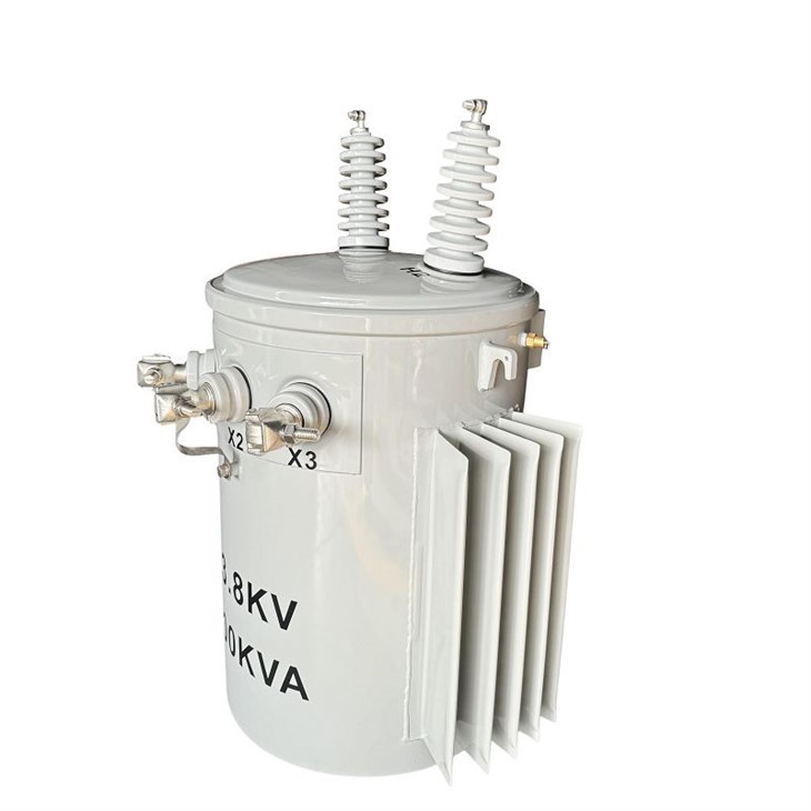 100 KVA Residential Transformer-13.8/0.12*0.24 KV | Guyana 2024 suppliers