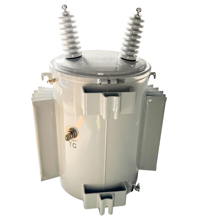 100 KVA Residential Transformer-13.8/0.12*0.24 KV | Guyana 2024 best