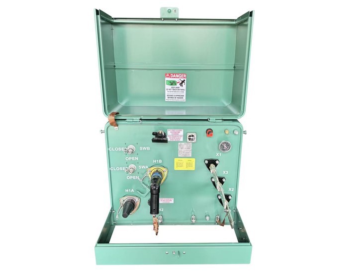 100 kVA پيڊ جبل ٽرانسفارمر-24/0.24 kV|جميڪا 2024